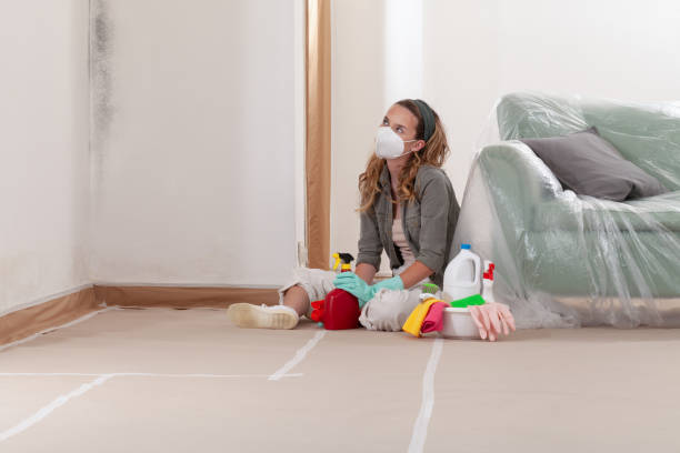 Reliable Black Mold Remediation contractor in Canton, GA by Car Mold Remediation